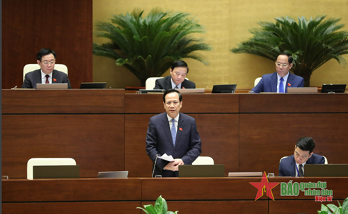 Bộ trưởng Đào Ngọc Dung: Tình trạng rút bảo hiểm một lần có chiều hướng gia tăng